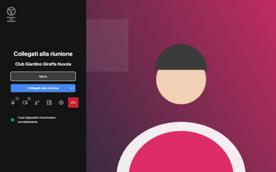 Pagina di accesso con anteprima della videocamera