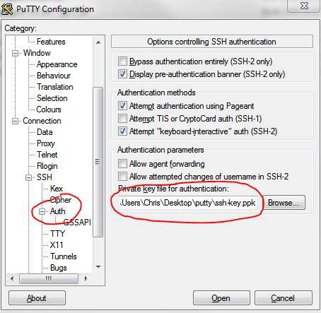 putty_03.jpg